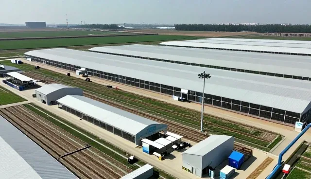 新媒体运营套餐打造品牌价值：广西优乐互娱传媒有限公司经验谈